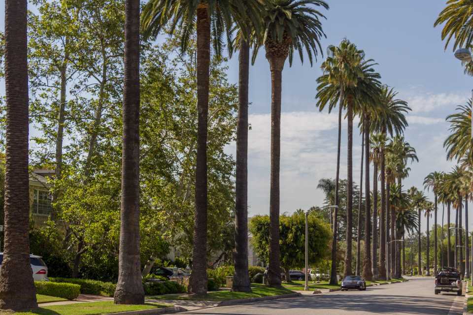 Straße in Beverly Hills